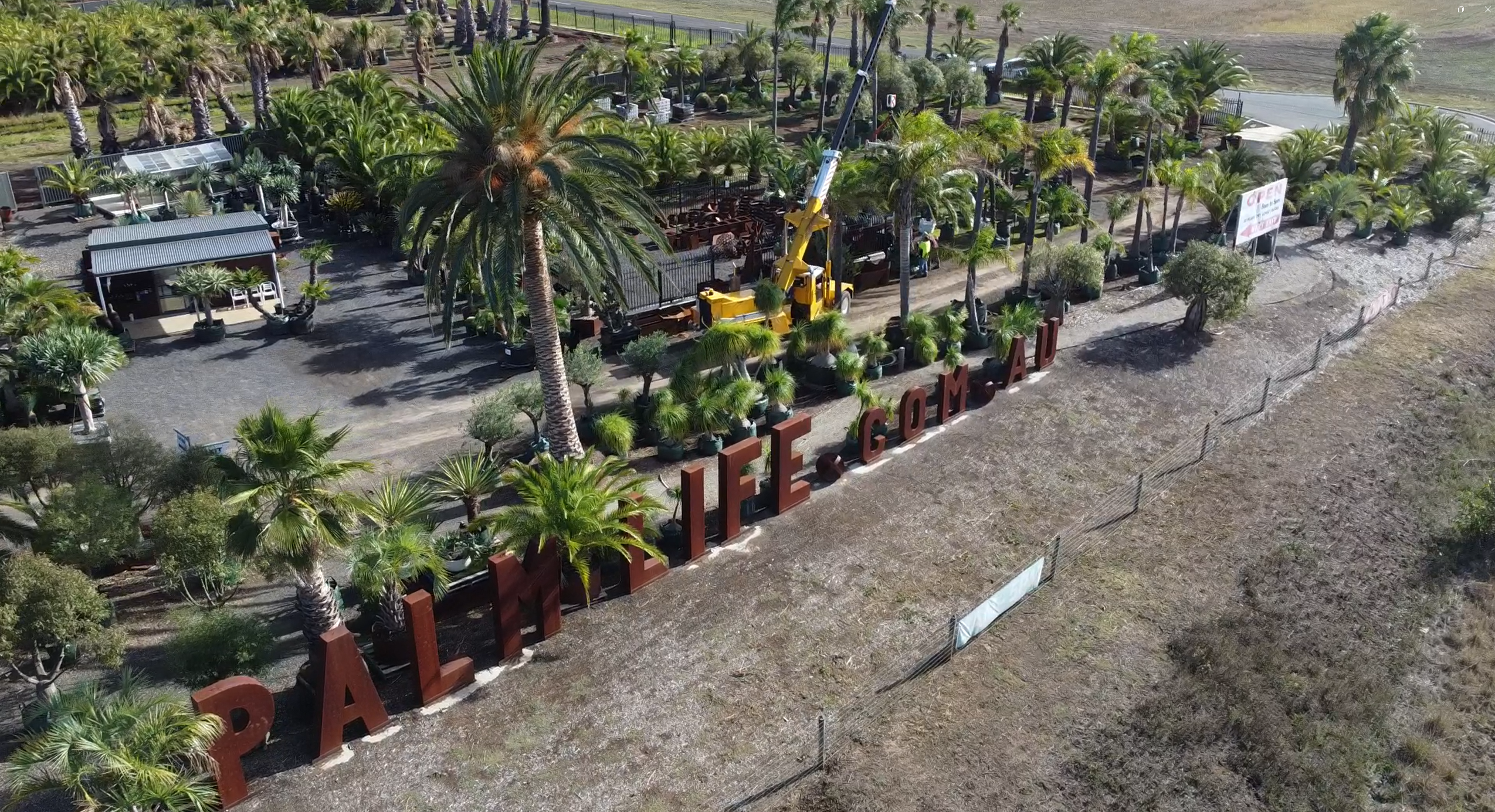 Palm Tree Lifts